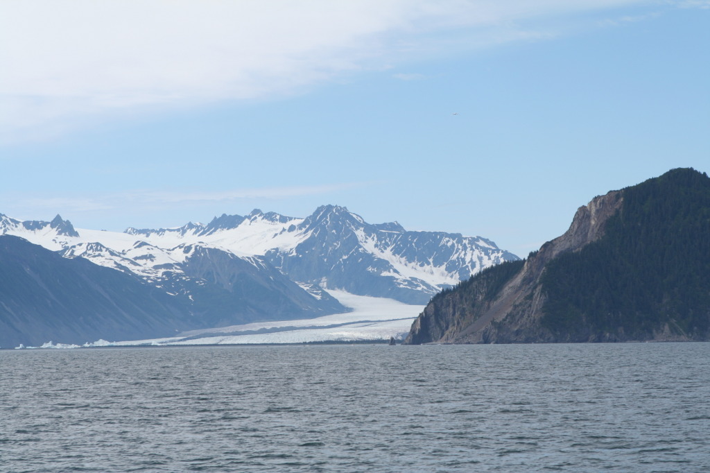 2011/07(July)/Alaska/1_Seward_Exit_Glacier/1024x768_2011-07-13-106-Seward.JPG
