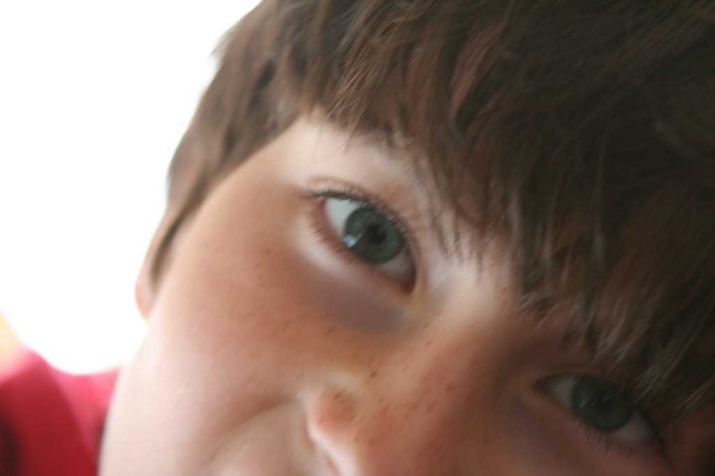 2011/07(July)/Alaska/1_Seward_Exit_Glacier/1024x768_2011-07-13-122-Seward-Dax.JPG