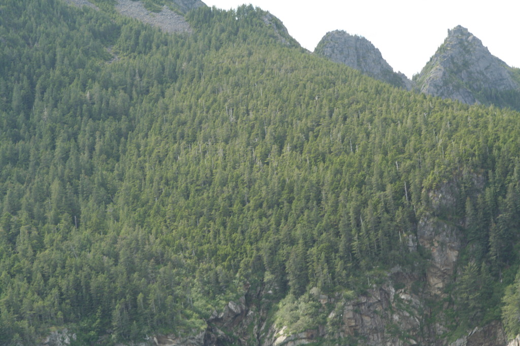2011/07(July)/Alaska/1_Seward_Exit_Glacier/1024x768_2011-07-13-123-Seward.JPG