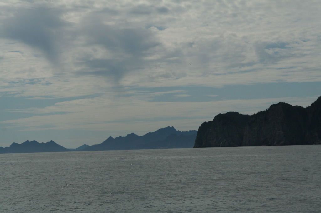 2011/07(July)/Alaska/1_Seward_Exit_Glacier/1024x768_2011-07-13-154-Seward.JPG