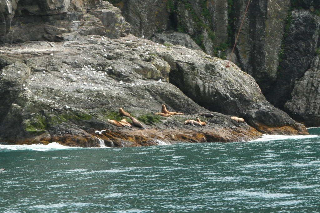2011/07(July)/Alaska/1_Seward_Exit_Glacier/1024x768_2011-07-13-169-Seward.JPG