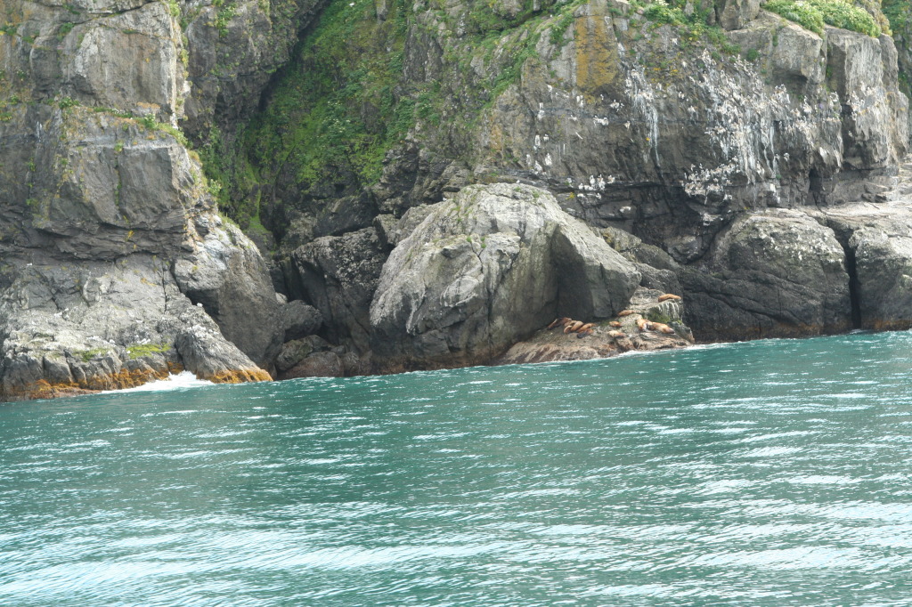 2011/07(July)/Alaska/1_Seward_Exit_Glacier/1024x768_2011-07-13-171-Seward.JPG