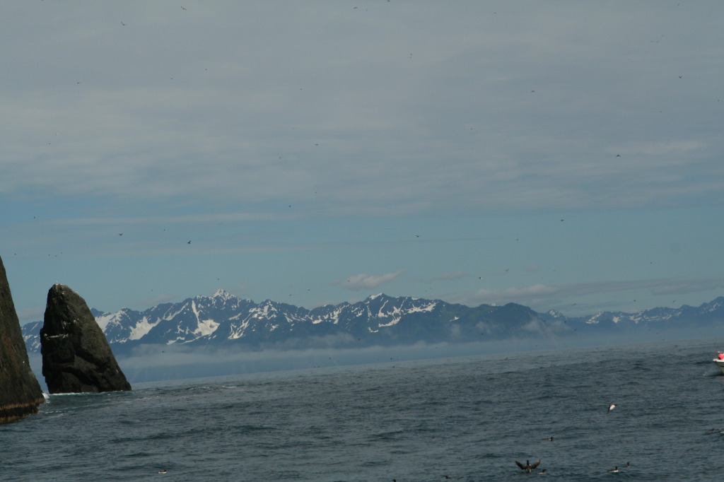 2011/07(July)/Alaska/1_Seward_Exit_Glacier/1024x768_2011-07-13-182-Seward.JPG
