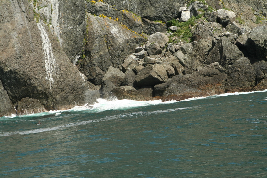 2011/07(July)/Alaska/1_Seward_Exit_Glacier/1024x768_2011-07-13-183-Seward.JPG