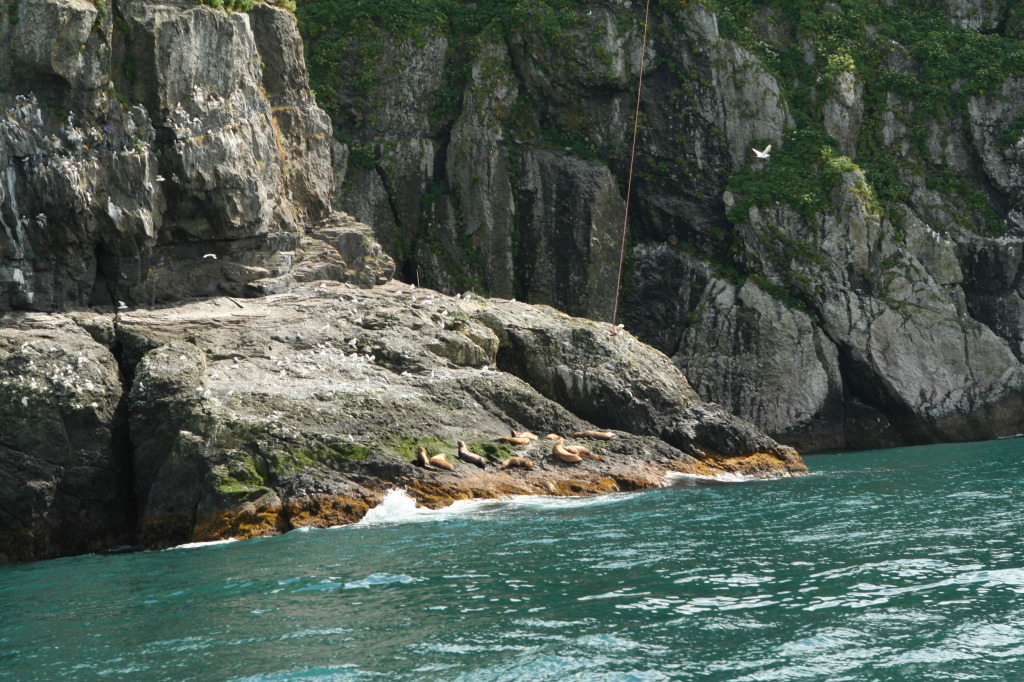 2011/07(July)/Alaska/1_Seward_Exit_Glacier/1024x768_2011-07-13-185-Seward.JPG