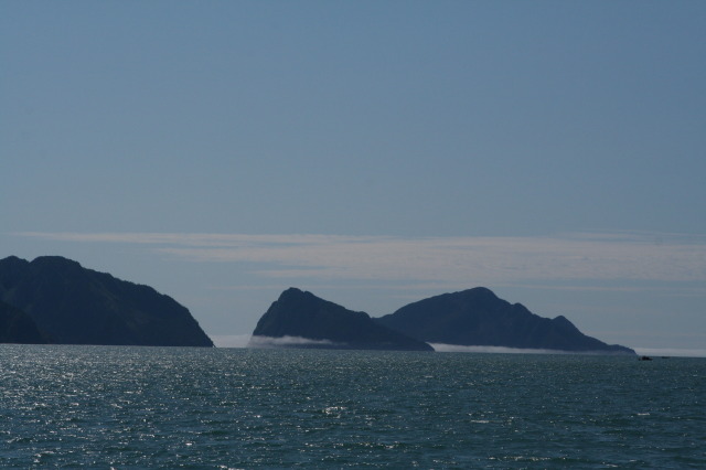 2011/07(July)/Alaska/1_Seward_Exit_Glacier/640x480_2011-07-13-045-Seward.JPG