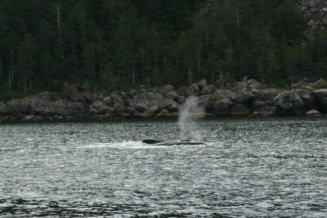 2011/07(July)/Alaska/1_Seward_Exit_Glacier/640x480_2011-07-13-137-Seward.JPG
