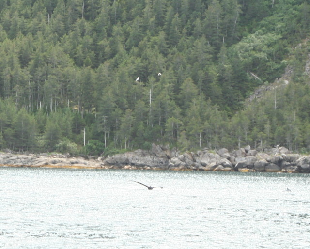 2011-07-13-147-Seward.JPG