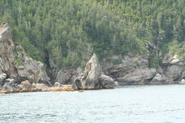 2011/07(July)/Alaska/1_Seward_Exit_Glacier/640x480_2011-07-13-152-Seward.JPG