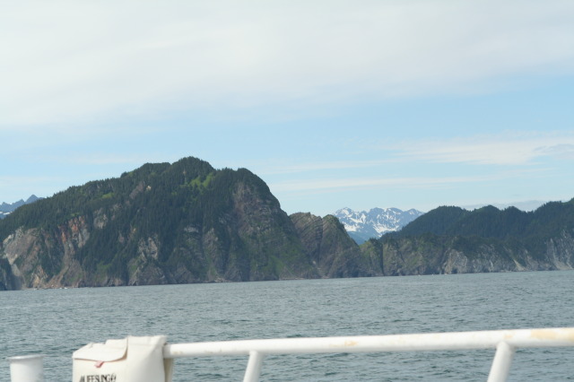 2011/07(July)/Alaska/1_Seward_Exit_Glacier/640x480_2011-07-13-157-Seward.JPG