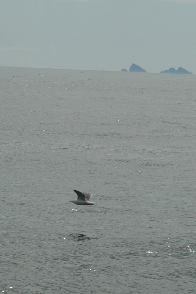 2011/07(July)/Alaska/1_Seward_Exit_Glacier/640x480_2011-07-13-165-Seward.JPG