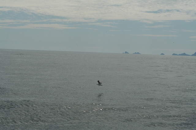 2011/07(July)/Alaska/1_Seward_Exit_Glacier/640x480_2011-07-13-166-Seward.JPG