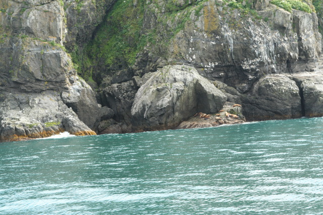 2011/07(July)/Alaska/1_Seward_Exit_Glacier/640x480_2011-07-13-171-Seward.JPG