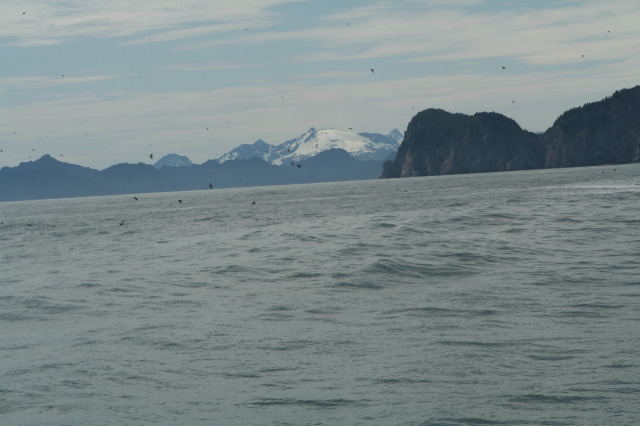 2011/07(July)/Alaska/1_Seward_Exit_Glacier/640x480_2011-07-13-177-Seward.JPG