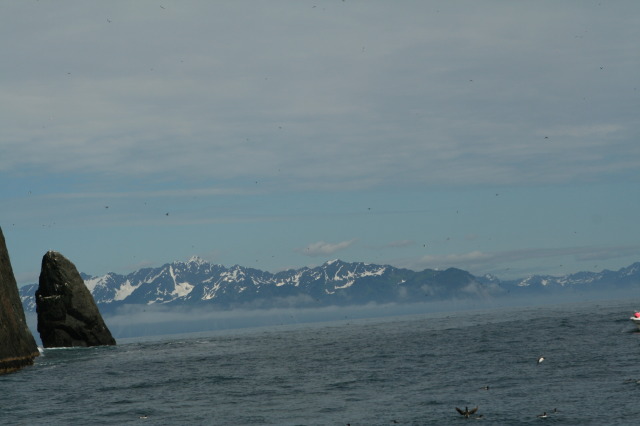 2011/07(July)/Alaska/1_Seward_Exit_Glacier/640x480_2011-07-13-182-Seward.JPG