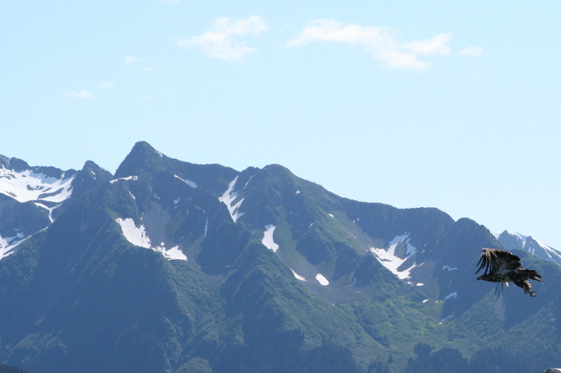 2011/07(July)/Alaska/1_Seward_Exit_Glacier/800x600_2011-07-13-017-Seward.JPG