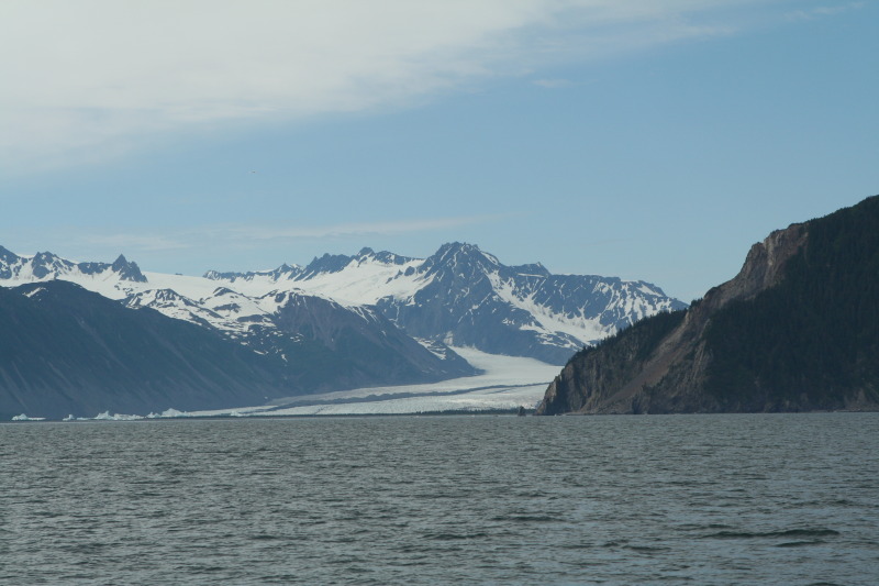2011/07(July)/Alaska/1_Seward_Exit_Glacier/800x600_2011-07-13-104-Seward.JPG