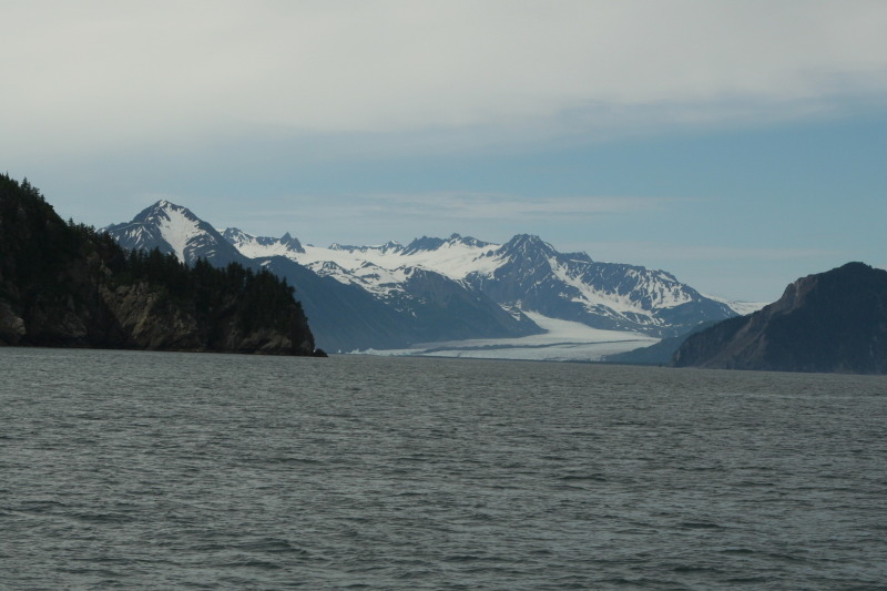 2011/07(July)/Alaska/1_Seward_Exit_Glacier/800x600_2011-07-13-127-Seward.JPG