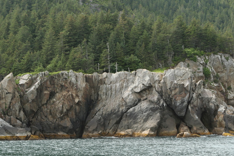 2011/07(July)/Alaska/1_Seward_Exit_Glacier/800x600_2011-07-13-150-Seward.jpg