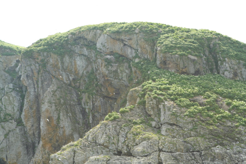 2011/07(July)/Alaska/1_Seward_Exit_Glacier/800x600_2011-07-13-174-Seward.JPG