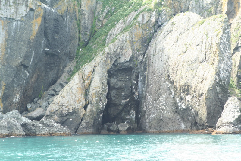 2011/07(July)/Alaska/1_Seward_Exit_Glacier/800x600_2011-07-13-175-Seward.JPG