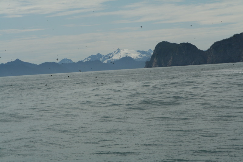 2011/07(July)/Alaska/1_Seward_Exit_Glacier/800x600_2011-07-13-177-Seward.JPG