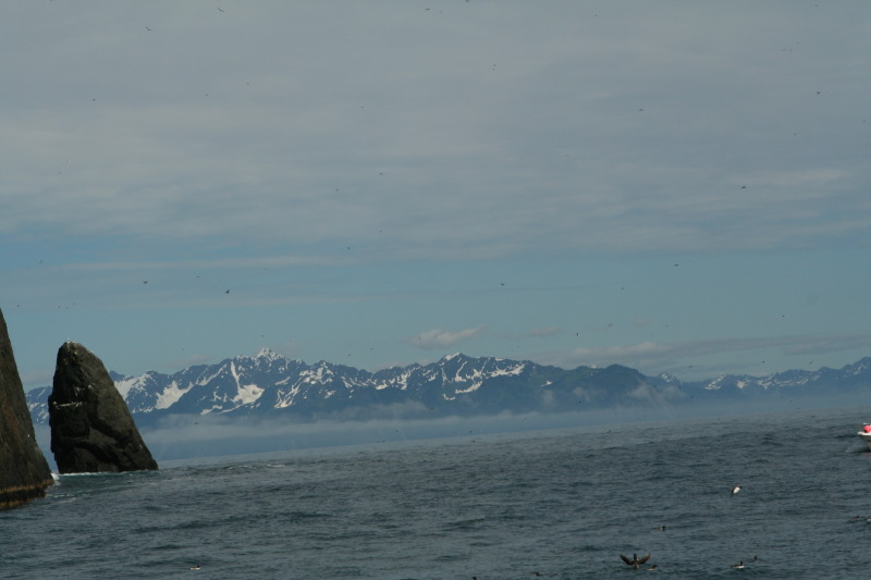 2011/07(July)/Alaska/1_Seward_Exit_Glacier/800x600_2011-07-13-182-Seward.JPG