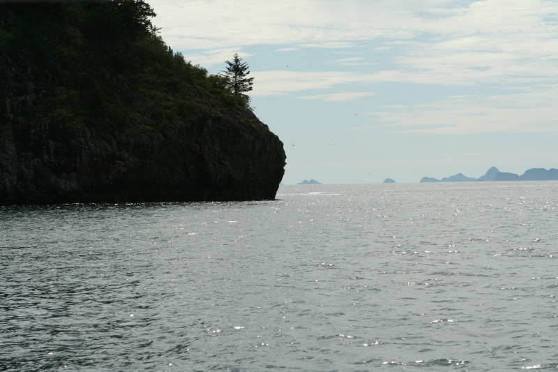 2011/07(July)/Alaska/1_Seward_Exit_Glacier/800x600_2011-07-13-190-Seward.JPG