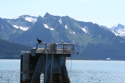 2011-07-13-016-Seward.JPG