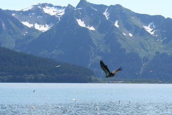 2011-07-13-019-Seward.JPG