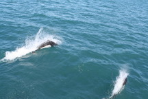 2011-07-13-062-Seward.JPG