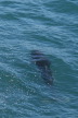 2011-07-13-063-Seward.JPG