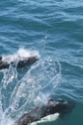 2011-07-13-065-Seward.JPG