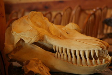 2011-07-13-076-Seward.JPG