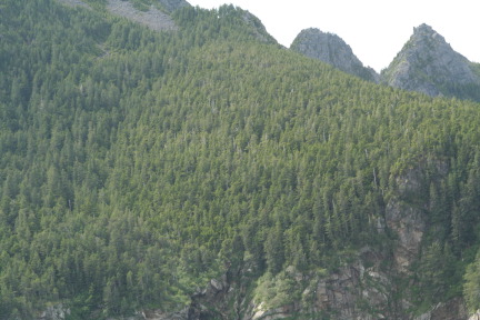 2011-07-13-123-Seward.JPG