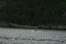 2011-07-13-135-Seward.JPG