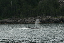 2011-07-13-137-Seward.JPG