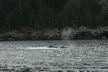 2011-07-13-138-Seward.JPG