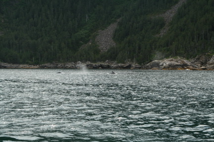 2011-07-13-139-Seward.JPG