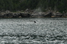 2011-07-13-140-Seward.JPG