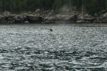 2011-07-13-141-Seward.JPG