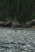 2011-07-13-142-Seward.JPG
