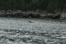 2011-07-13-143-Seward.JPG