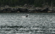 2011-07-13-144-Seward.JPG