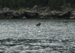 2011-07-13-145-Seward.JPG