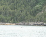 2011-07-13-147-Seward.JPG