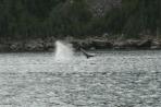 2011-07-13-148-Seward.JPG