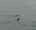 2011-07-13-164-Seward.JPG