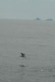 2011-07-13-165-Seward.JPG