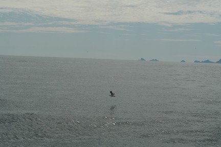 2011-07-13-166-Seward.JPG
